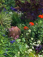 Large pot tucked away in bed with red oriental poppy, valerian, centaurea, Iris sibirica and cotinus.