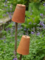 Tiny terracotta pots serve as cane protectors, preventing people from inadvertantly poking their eyes when bending down - a very common injury amongst gardeners.