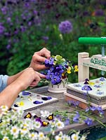 Woman picking heads from cut flowers to put in flower press. Use only the newest and freshest flowers for pressing, and pick when dry, ideally after the dew has evaporated, but before the sun causes flowers to wilt. 