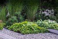 Shady border planted with hosta, pachysandra and ornamental grasses. 