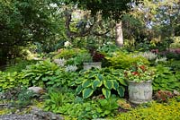 Raised stone border with Lysimachia nummularia 'Aurea', Hostas 'Rascal', 'Guacamole', 'Alligator Shoes', 'Striptease', 'Liberty', 'Gold Standard', 'Wide Brim', 'Satisfaction' and Astilbe arendsii 'Weisse Gloria' and Begonia 'Dragon Wing' in grey planter in private backyard garden in summer