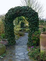 An evergreen ivy arch, providing year round structure in the garden.