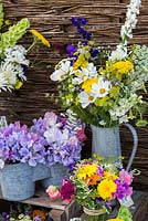 At Organic Blooms, flowers are grown for cutting and arranging. They include marigold, cosmos, larkspur, ammi, sweet peas, clary sage, scabious, sweet william, achillea, nicotiana, cornflower, clarkia, feverfew.