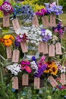 Glass jars and bottles filled with cut flowers. Pictured from left to right, top to bottom - sweet william, love-in-the-mist, sea holly, statice, sweet pea, marigold, lavender, cosmos, ammi, scabious, feverfew, clary sage, zinnia, achillea, larkspur, rudbeckia and nicotiana.