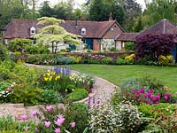 Old walled cottage seen over pink Tulipa Blue Ribbon, China Pink, Rosalie. Middle bed planted with gold Tulipa West Point, blue camassia, Narcissus Pipit. Trees include Cornus controversa Variegata and Acer palmatum.