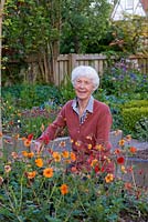 Sue Martin tends a raised bed planted with some of the Geums in her National Collection of Geums.