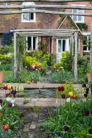 Pergola, made from chestnut poles, spans brick path edged in box balls, Euphorbia characias subsp. wulfenii, geums, Cerinthe major 'Purpurascens' and tulips rising above forget-me-nots. 