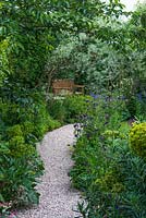 Path of stone chippings edged in honeysuckle, blue Granny's bonnets, euphorbia, allium and hardy geranium 'Rozanne', passing beneath grey-leaved Salix exigua