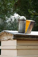 Beekeeping tools - a hive smoker
