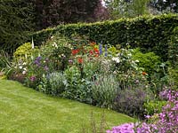 View past pink phlox and ragged robin to border of foxglove, poppy, delphinium, scabious, lavender and roses - white Sally Holmes, red La Sevillana and creamy Buff Beauty.