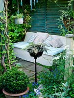 A concrete sofa in shade of pergola and tucked away beside Fatsia japonica. Economic use of space in a tiny garden.