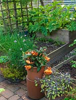 Tiny kitchen garden of raised vegetable beds with courgettes, chives, strawberries, carrots and seedling lettuce. In pots - begonia, succulents and sage.