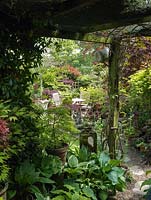 View from under shady pergola with hosta collection to patio with many pots of maples dotted between reclaimed objects from salvage yards.