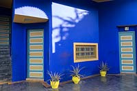 Agave plants in yellow pots, against blue painted walls, on tiled patio at the Jardin Majorelle, Yves Saint Laurent garden