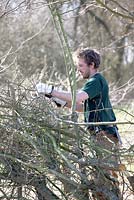 Demonstration of Maxime Lionet from France braiding the hedge in his own way.
