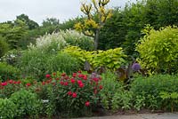 Bed At White Flower Farm, Christopher Lloyd's inspired border with alliums, roses and ornamental grasses