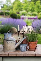 On summerhouse table, candles, watering can, terracotta pots and lavender. Behind, path edged in haze of catmint leads to bed of purple and white allium.