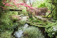 A large bamboo pipe drips water into a small pond fringed with Acorus gramineus 'Variegatus' and surrounded by acers. The Japanese Garden and Bonsai Nursery, St.Mawgan, nr Newquay, Cornwall
