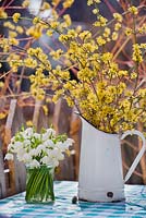 Spring arrangements with dogwood - Cornus mas and snowflakes - Leucojum aestivum.