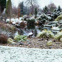 A snowy scene of ornamental grasses, miniature conifers and boulders is reflected in the still pool.