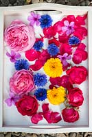 Making potpourri. Flowers and petals ready for drying for potpourri are placed on trays, covered in paper, and placed somewhere warm, dry and airy. Blooms should be turned daily.