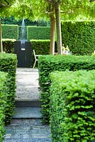 A view across clipped yew hedges into a graveled courtyard area beside the studio where four weeping ash, Fraxinus excelsior 'Pendula', are trained to create a canopy over a seating area surrounded by yew hedging.