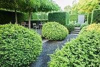 Large loose box shrubs frame path running beside a courtyard where four trained weeping ash, Fraxinus excelsior 'Pendula', provide a canopy of shade over seating areas, and leading toward a false grey door set into the yew hedge