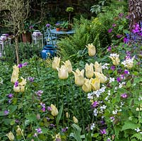 A secluded patio behind a shady woodland border with plants including Tulipa 'Elegant Lady', Allium, Lunaria and ferns.