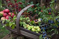 Autumn collection of harvested fruits and foliage.