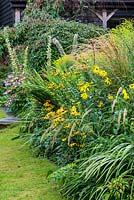 A yellow mixed border planted with helenium, rudbeckia, helianthus and solidago. Southend Farm.
