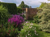 Walled garden with pink flower border of lythrum, argyranthemum, penstemon and crinum. On right, Cornus alternifolia.