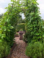 Runner beans and apples trained up frames in the kitchen garden over gravel paths. 