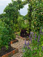 Kitchen garden of rectangular raised beds, edged in old clay tiles, and separated by gravel paths. At the centre, apples are trained up a metal frame.