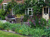 A front garden patio with dictamnus, nigella and cerinthe, Clematis 'Perle d'Azur' and Rosa 'Lady Hillingdon' with Rosa 'Madame Alfred Carriere'.
