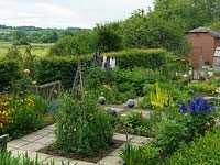 Kitchen garden with cutting garden of sweet peas, foxtail lilies, alstroemeria and delphinium, raspberries, cabbage, parsnip, beans, potato, lettuce. View to River Test valley.