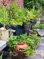 A patio with strawberry planter and containers made from salvaged objects including a trolley cart filled with herbs, marigolds in baskets and succulents on scales.