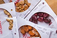 Phaseolus coccineus, various varieties of runner beans - stored in CD envelopes.