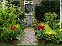 View down path lined with pots of Tulipa Abu Hassan, Arabian Mystery, Prinses Irene, Black Jewel, Negrita. Urn before opening in yew hedge.