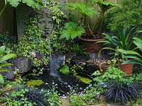 Water flows into pool from cherub mask mounted on stone slab, partly covered in ivy. Pool edged in forget-me-not, black grass, aquilegia, fern and gunnera.