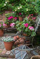 A container garden, pots and cloches around a park bench in the corner of the walled garden. Plants include pelargonium, dianthus with Rosa 'Gold Finch' on the wall behind.