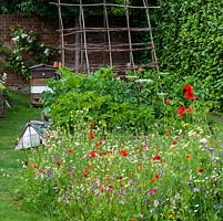 A small wildflower meadow of daisies, poppies, toadflax, clover, cow parsley and cornflowers sown in the middle of a lawn beside raised vegetable beds planted with potatoes, rhubarb and beans. Beyond, is a working bee hive.