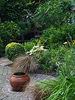 Small bubbling terracotta pot, set in centre of brick circle. Behind, bed of box, leucanthemum, Carex comans. Shelves of succulents in corner.