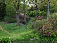 Carpets of English bluebells in a glade, deep in this century old woodland garden. In spring, it is noted for its rhododendrons, bluebells and acers. High Beeches
