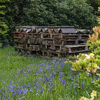 A wonderful bug house, home for a wide variety of insects and other wildlife. Created from salvaged wooden pallets, roof tiles, canes and brush. High Beeches