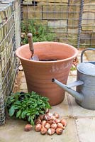 Materials required for planting up a spring container.