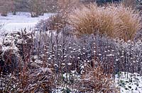 Winter garden after snow with Iris sibirica, Aster sedifolius, Phlomis russeliana, Artemisia abrotanum, Miscanthus sinensis, Aster novi belgii 
