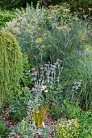 A gravel garden with grasses and perennials including Eryngium Jos Eijking, Foeniculum vulgare and Salvia.