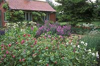 Country garden and house with malope trifida, hesperis matronalis, achillea and gysophila nicotiana sylvestris. Wyken Hall