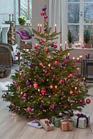 Abies nordmanniana decorated with pink and purple colored baubles, red candles and fairy lights