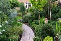 A town garden with curved stone path through borders planted with shaped Buxus, Acer Aureum, Hydrangea, Echinops and Stipa grass, Lavandula, Echinacea and Eryngium.